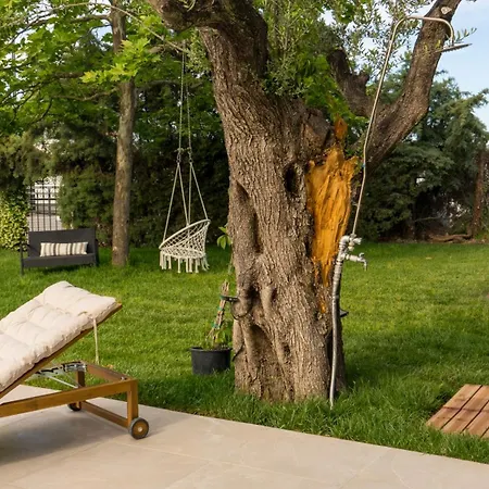 Dom wakacyjny Casa Mocha By Rentalspro - Halkidiki Vourvourou